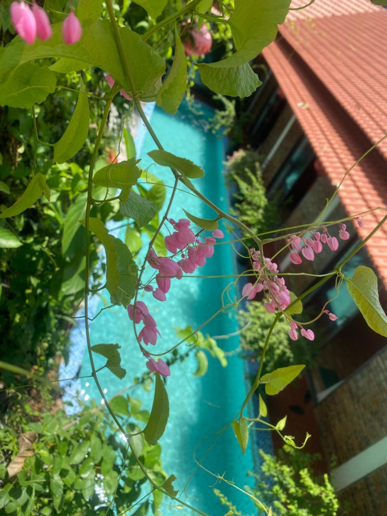 Sunshine Villa Thuy Bieu Hue Exterior foto