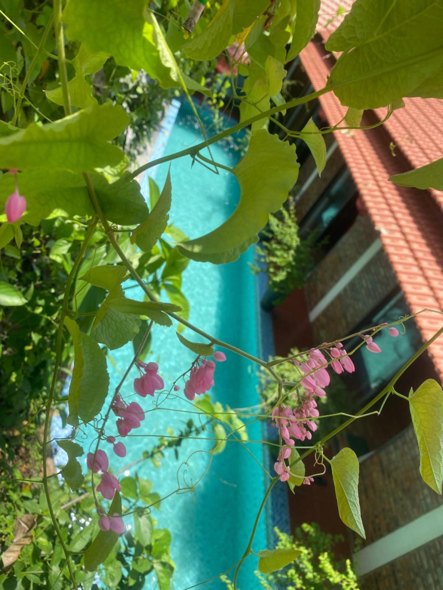 Sunshine Villa Thuy Bieu Hue Exterior foto